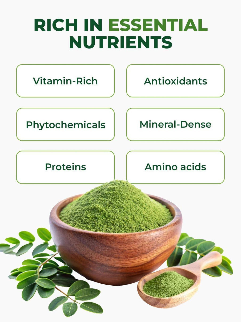 Moringa leaf powder in wooden spoons with fresh green moringa leaves