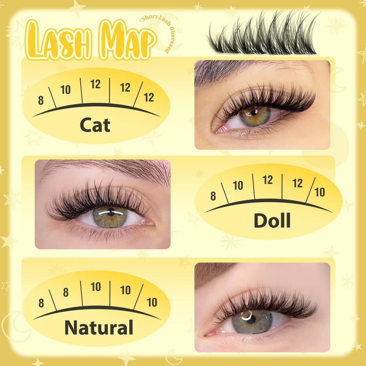 Black lash style map showing cat, doll, and natural lash curl options