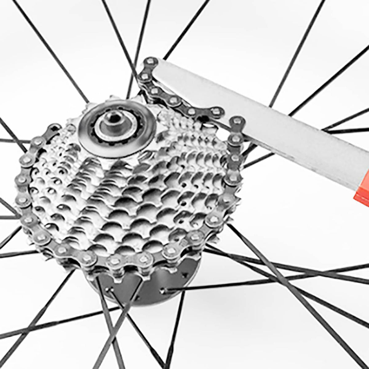 Bike freewheel removal tool with chain whip installed on rear cassette