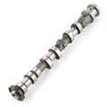 Left exhaust camshaft, silver steel with dark bearing caps and gear end