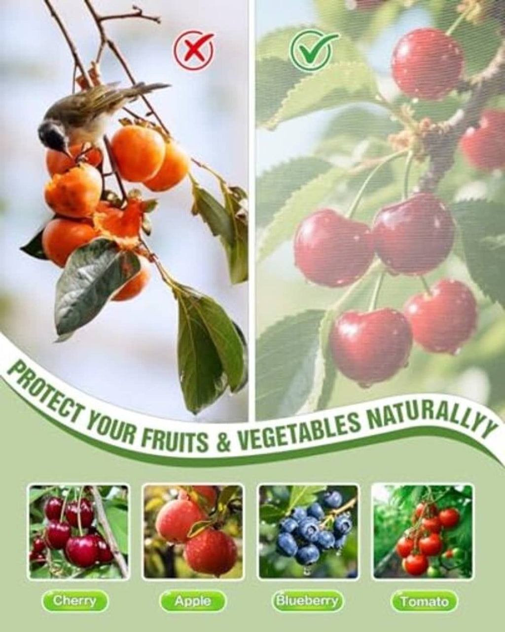 Transparent fruit tree net cover with zipper opening, mesh dome for protecting fruits