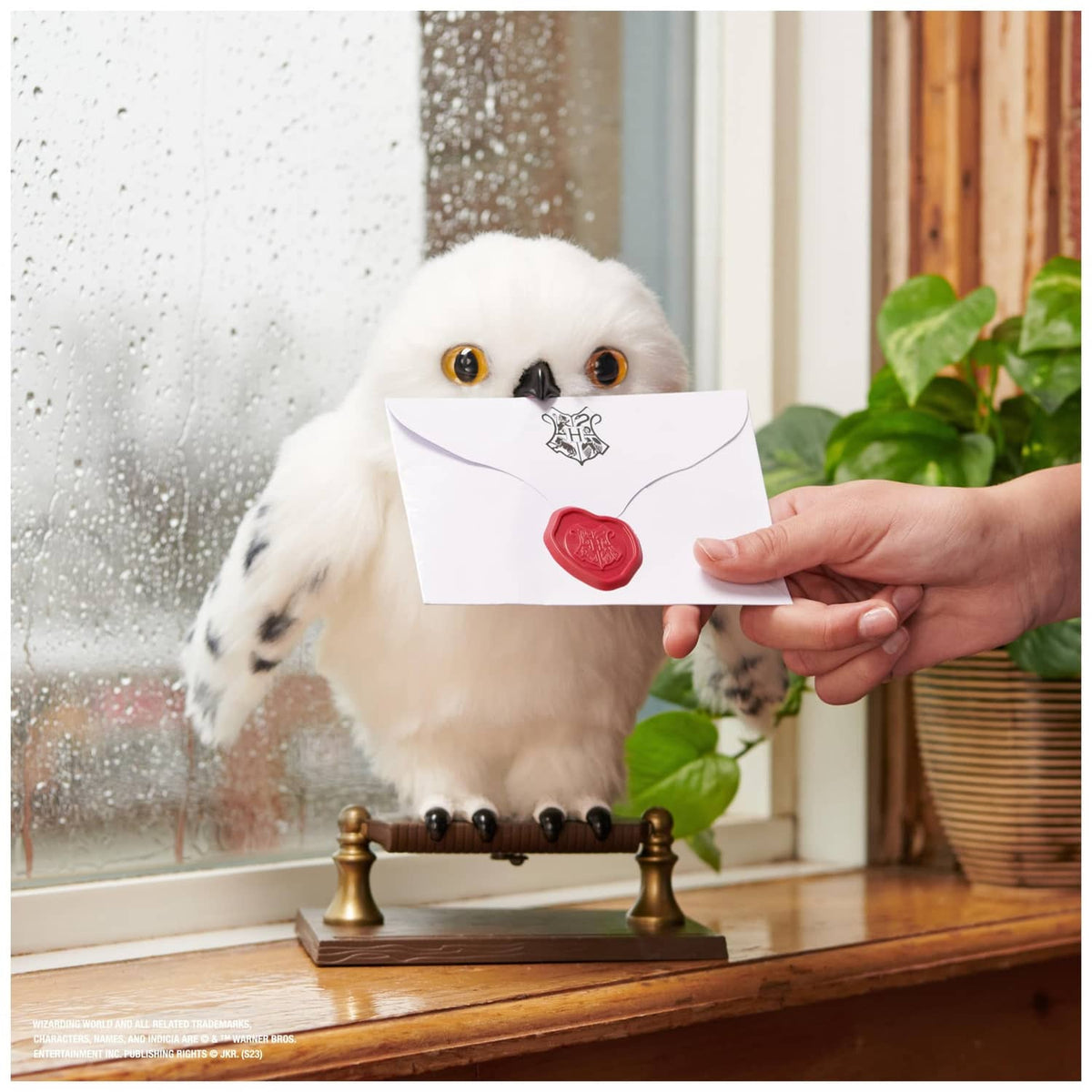 White interactive owl plush on a stand as a hand holds a white envelope toward it.