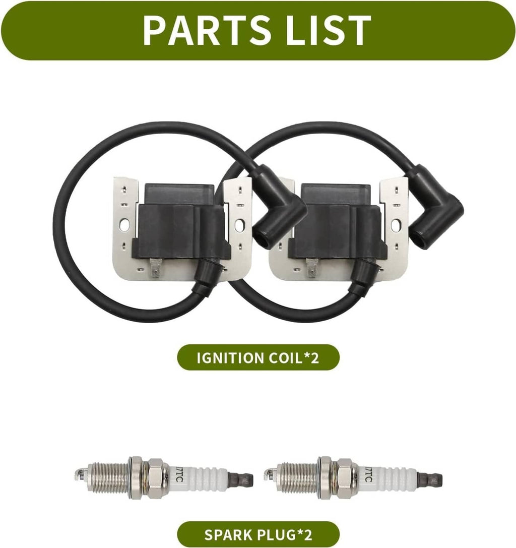 Ignition coil set with two spark plugs and black plug wires