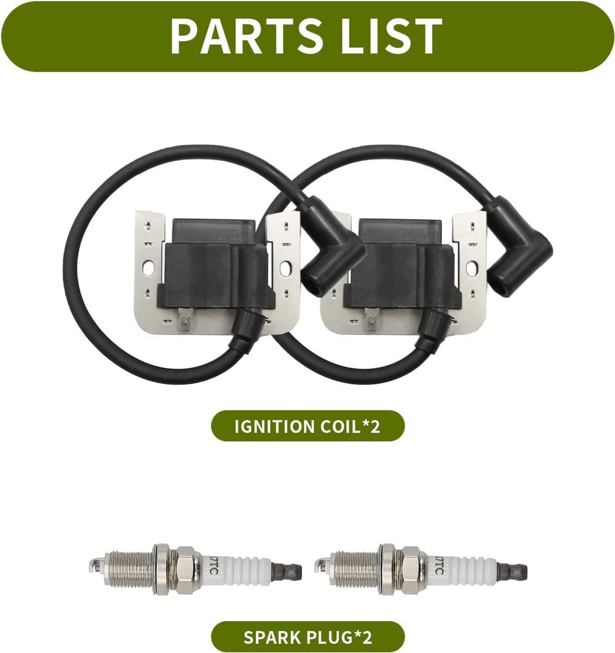 Ignition coil set with two spark plugs and black plug wires