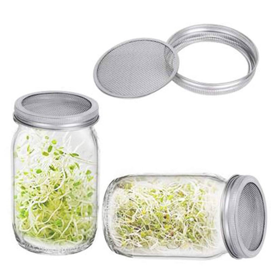 Sprouting jar mesh lids on glass jars with green sprouts, silver rings