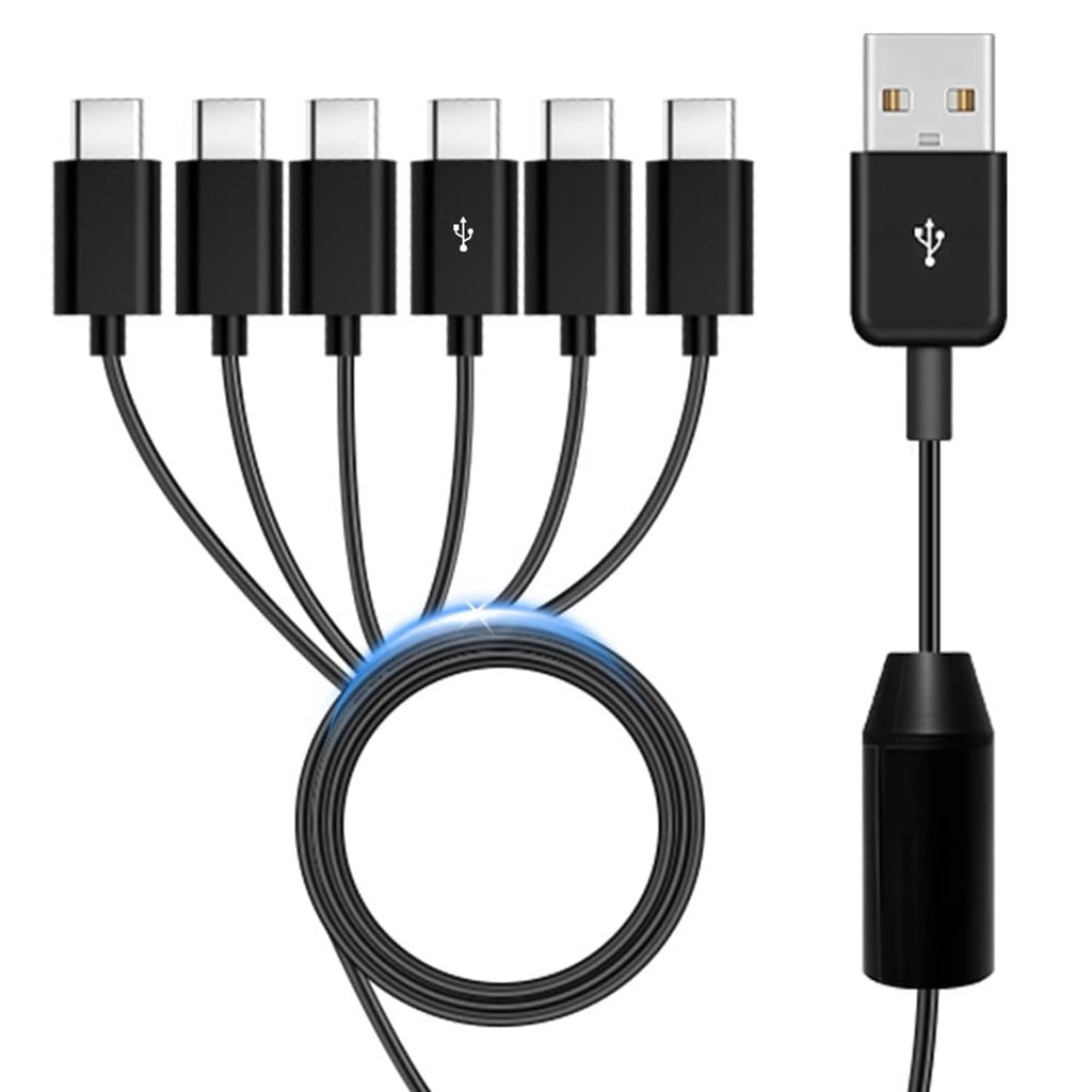 Black multi-port charging cable with USB plug and six Type-C connector ends