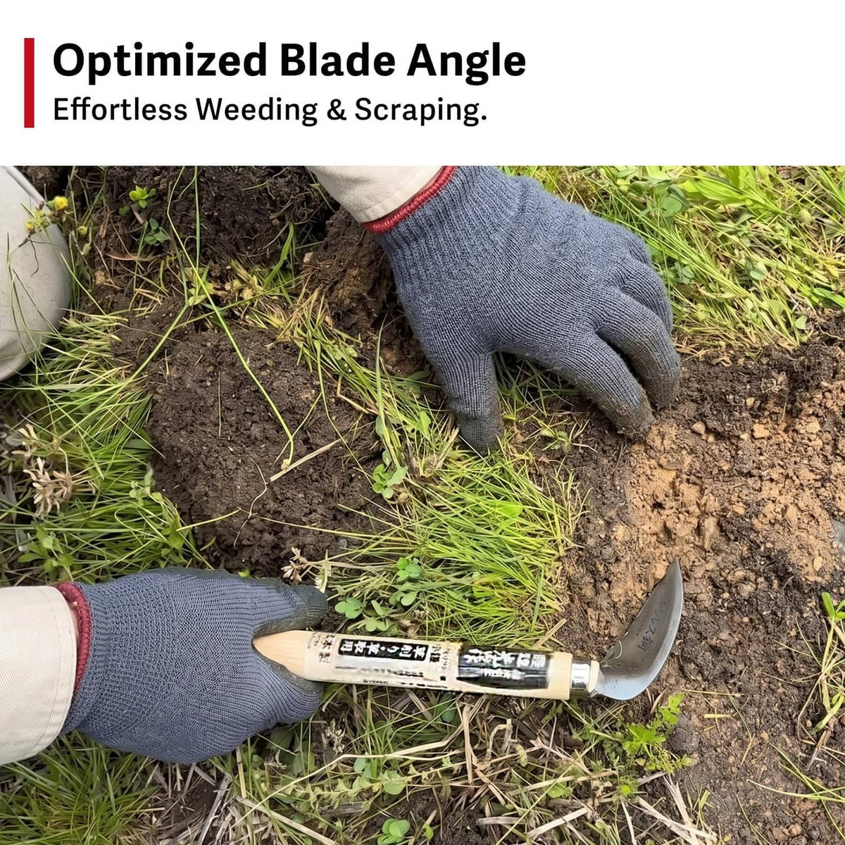 Weeding sickle used with gray-gloved hands to cut weeds in soil