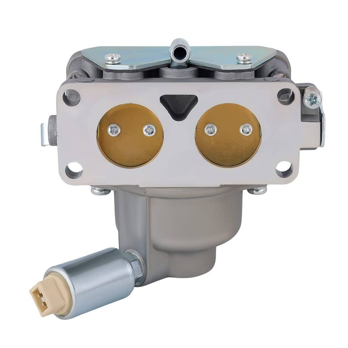 Carburetor front view with two gold circular chamber covers and mounting bolts