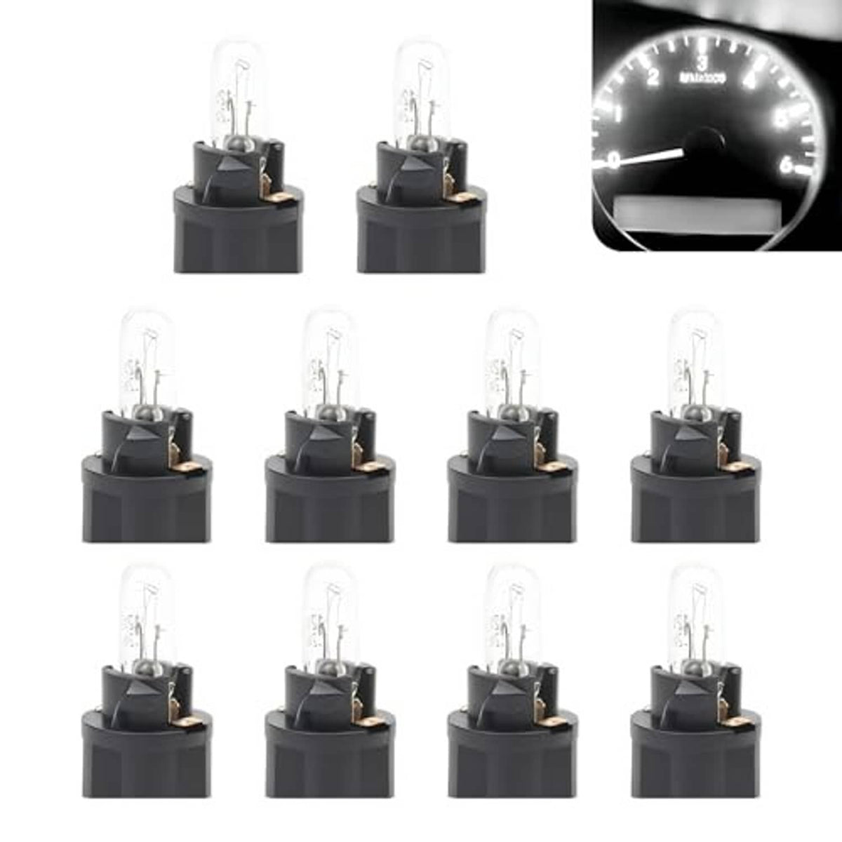 T5 halogen instrument bulbs, clear lamp glass with black base holders, set of multiple bulbs