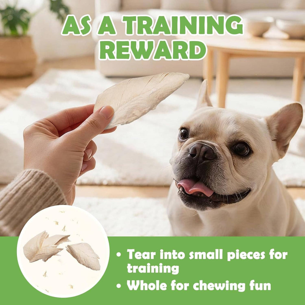 Hand holding a freeze-dried chicken breast strip near a dog