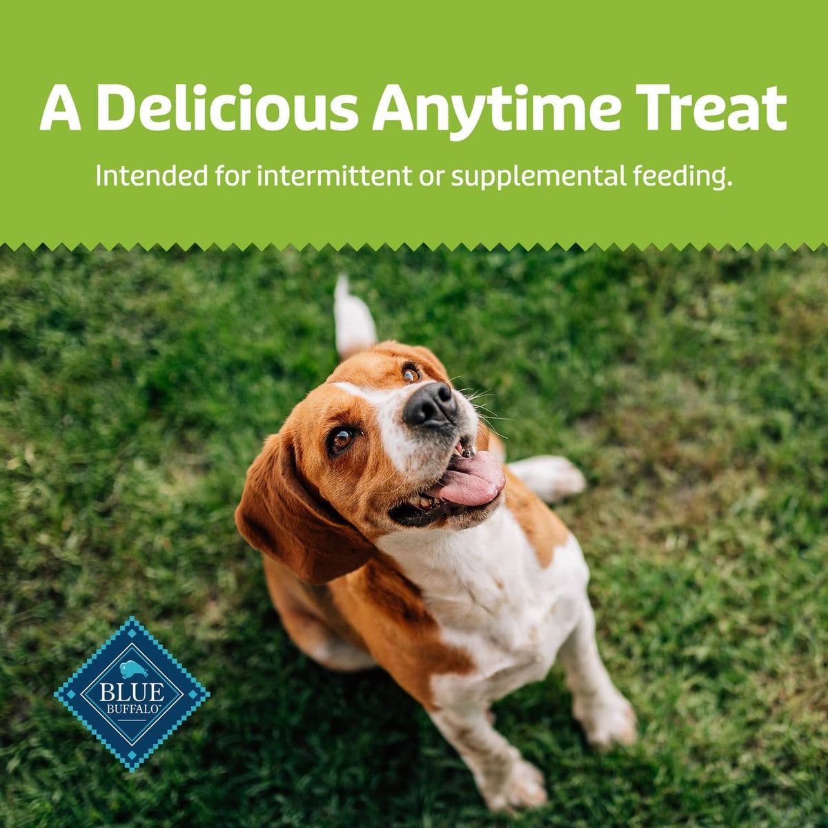 Dog reaching for crunchy tan Health Bars dog biscuit treat in a hand