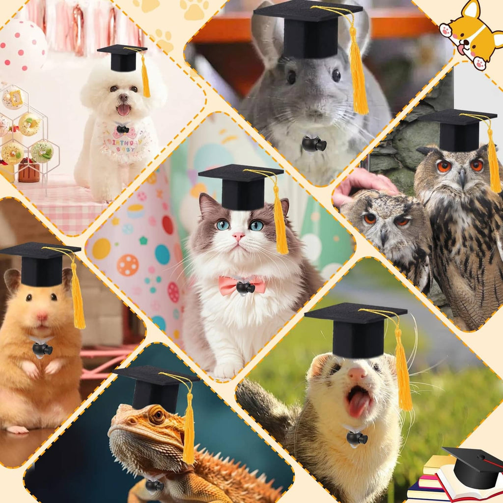 Assorted pets wearing black mini graduation caps with yellow tassels in a collage.