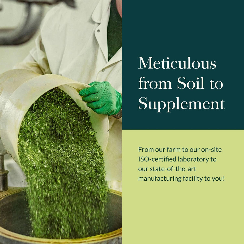 Processing scene with green powder in a lab vat and farm-to-supplement text