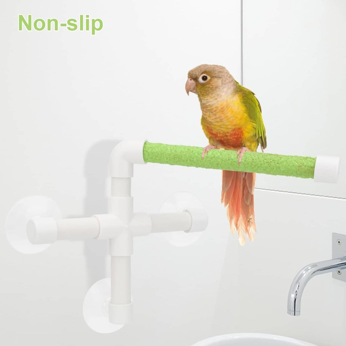 Bird on green perch bar on white suction cup bird window perch toy