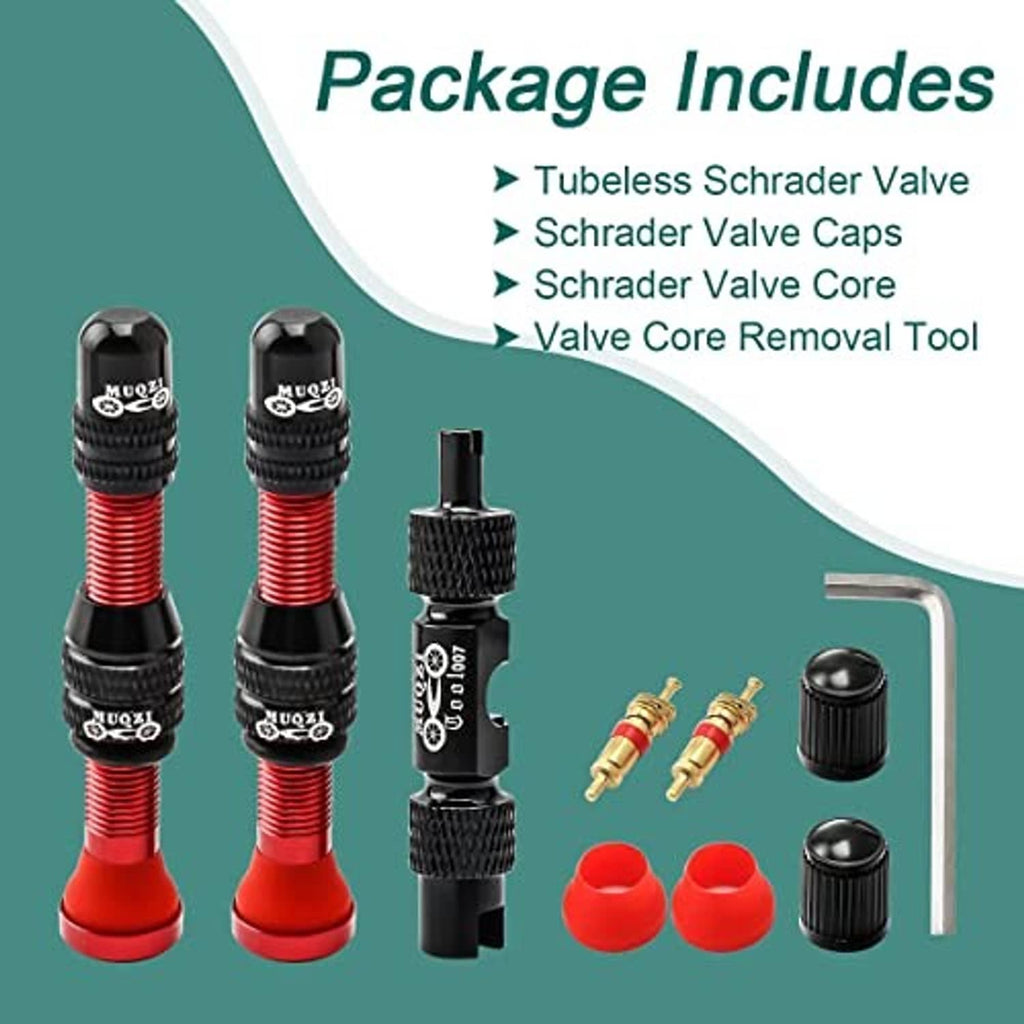 Tubeless Schrader valve stems kit contents: red stems, black caps, brass core, removal tool