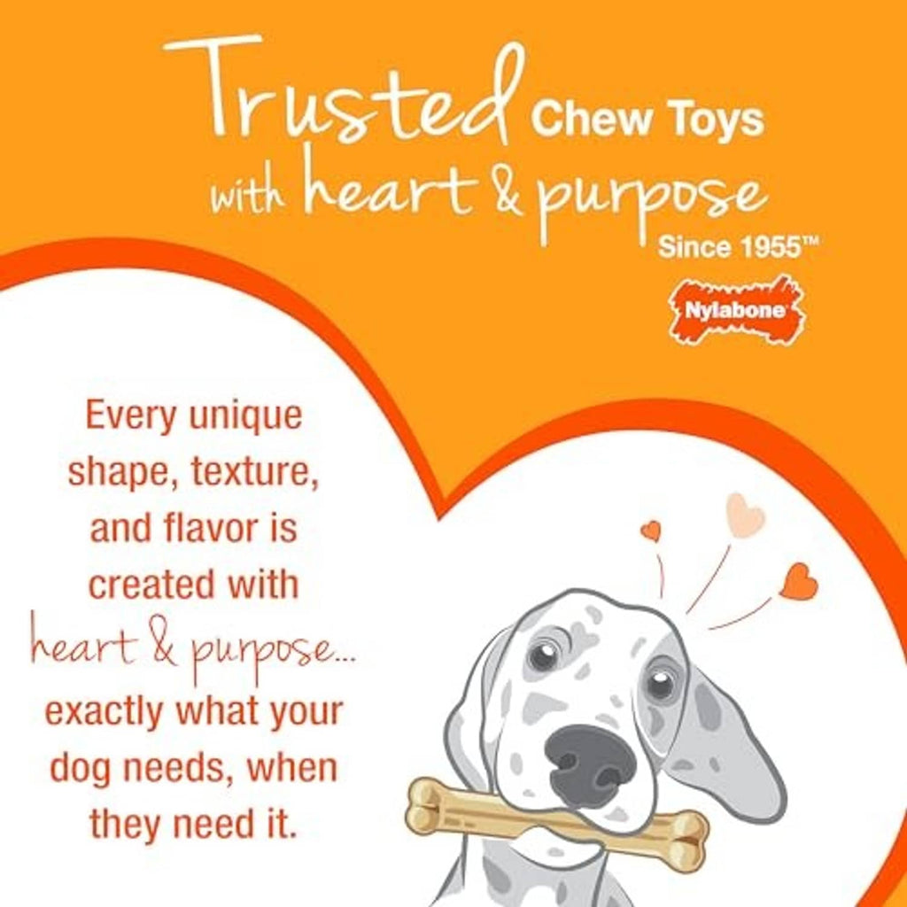 Nylabone Power Chew original bone dog chew toy