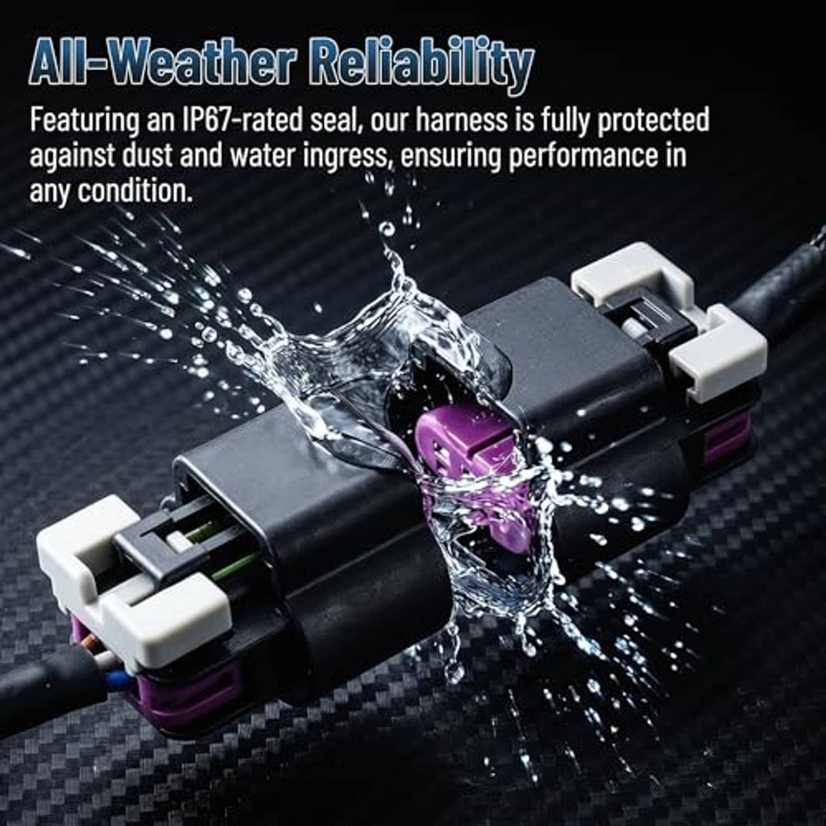 All-weather headlight wiring harness with black housing and purple 3-pin connectors