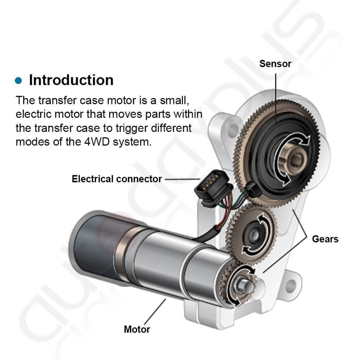 Transfer case motor system diagram showing electrical connector, motor, and gears