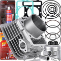 Cylinder barrel and piston gasket kit components, including cylinder, piston, rings, and gaskets