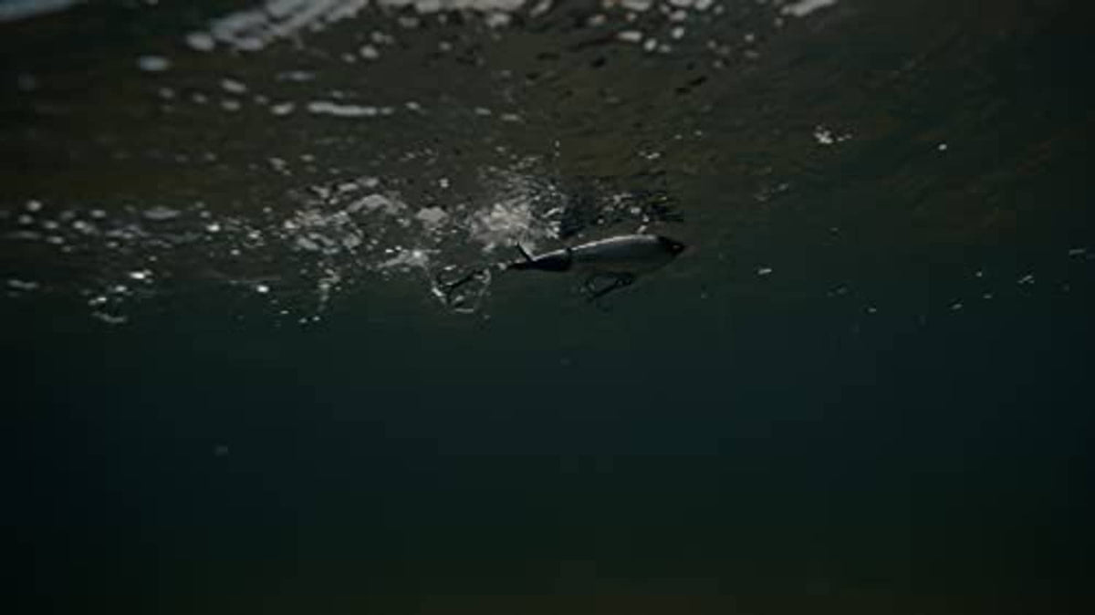 Topwater fishing lure with hook trailing in dark water