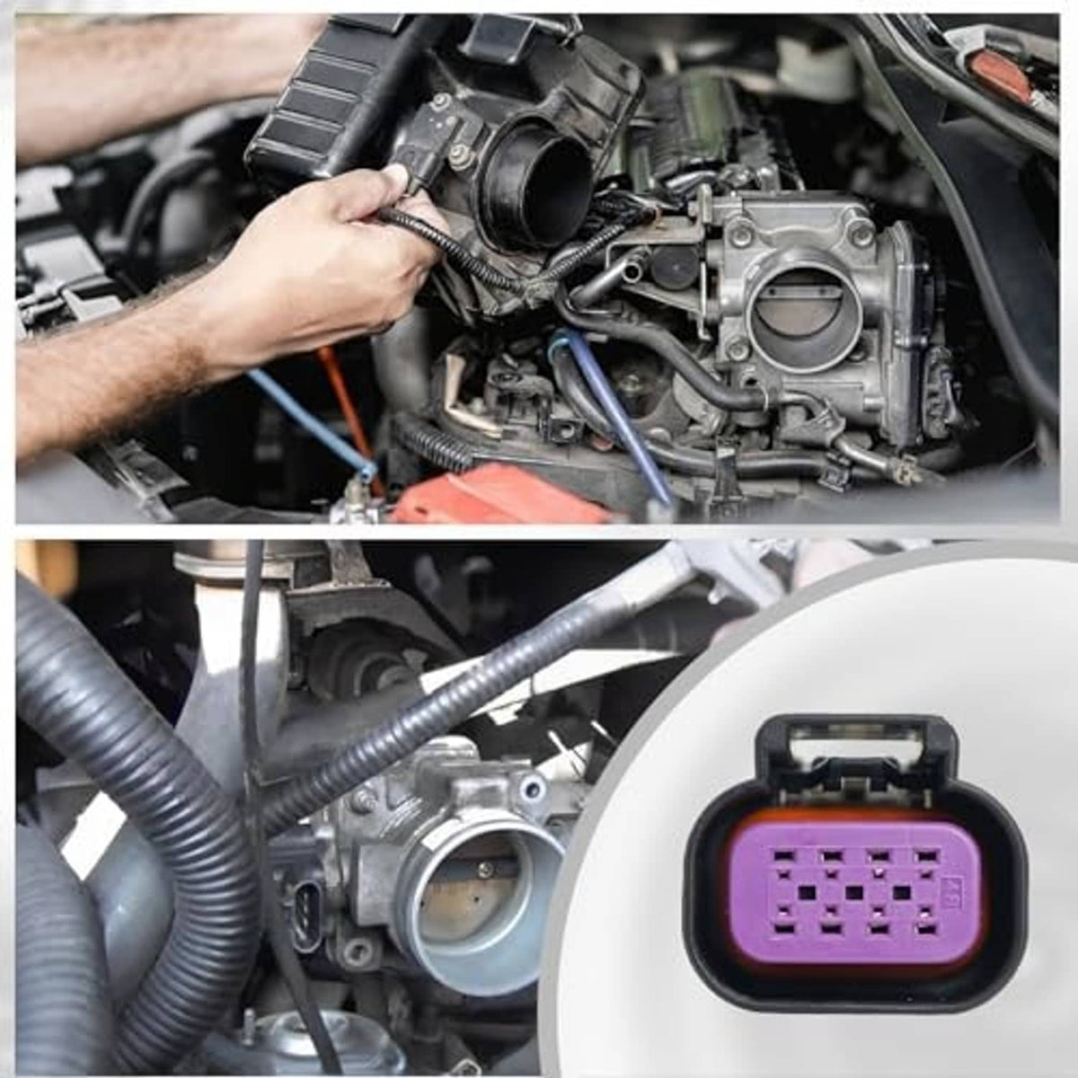 Throttle body connector pigtail harness with purple 8-pin plug shown near throttle body