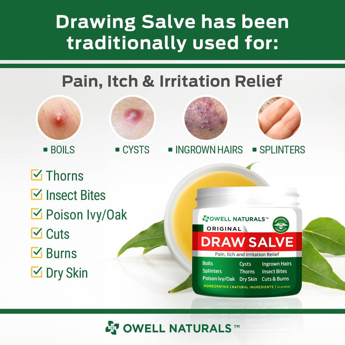 Drawing salve ointment jar with green “Original Draw Salve” label beside botanicals