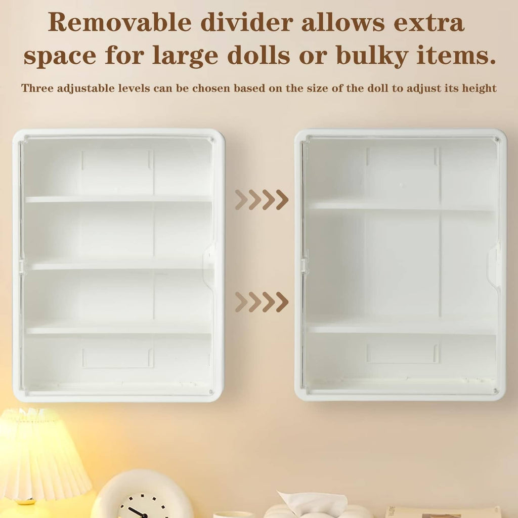 Wall-mounted clear display case with removable divider and adjustable shelf levels