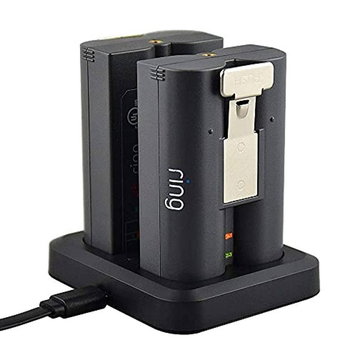 Dual battery charger dock with two standing battery packs and cable