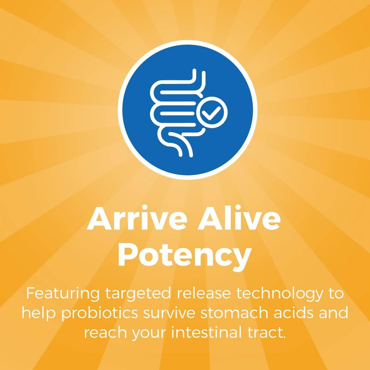 Probiotic Arrive Alive Potency badge with intestine icon