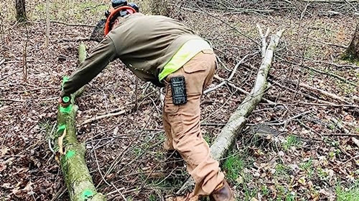 Green firewood measuring marker used on a log outdoors by a crouching person.