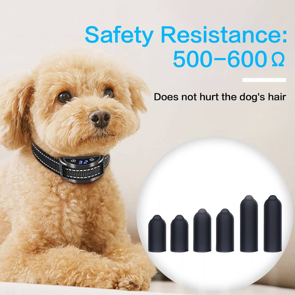 Dog wearing black training collar with six black rubber replacement tips inset