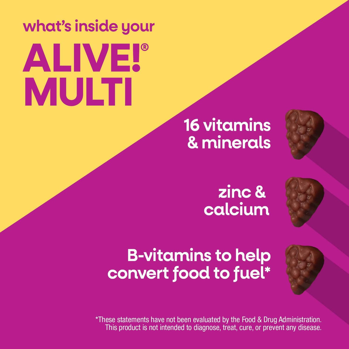Alive! multivitamin gummy graphic showing 16 vitamins & minerals and zinc & calcium