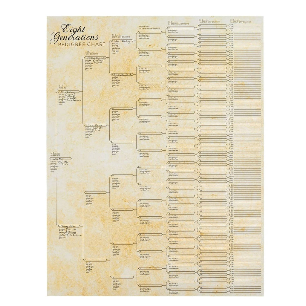 Off-white eight-generation pedigree chart with connected branches and blank writing lines