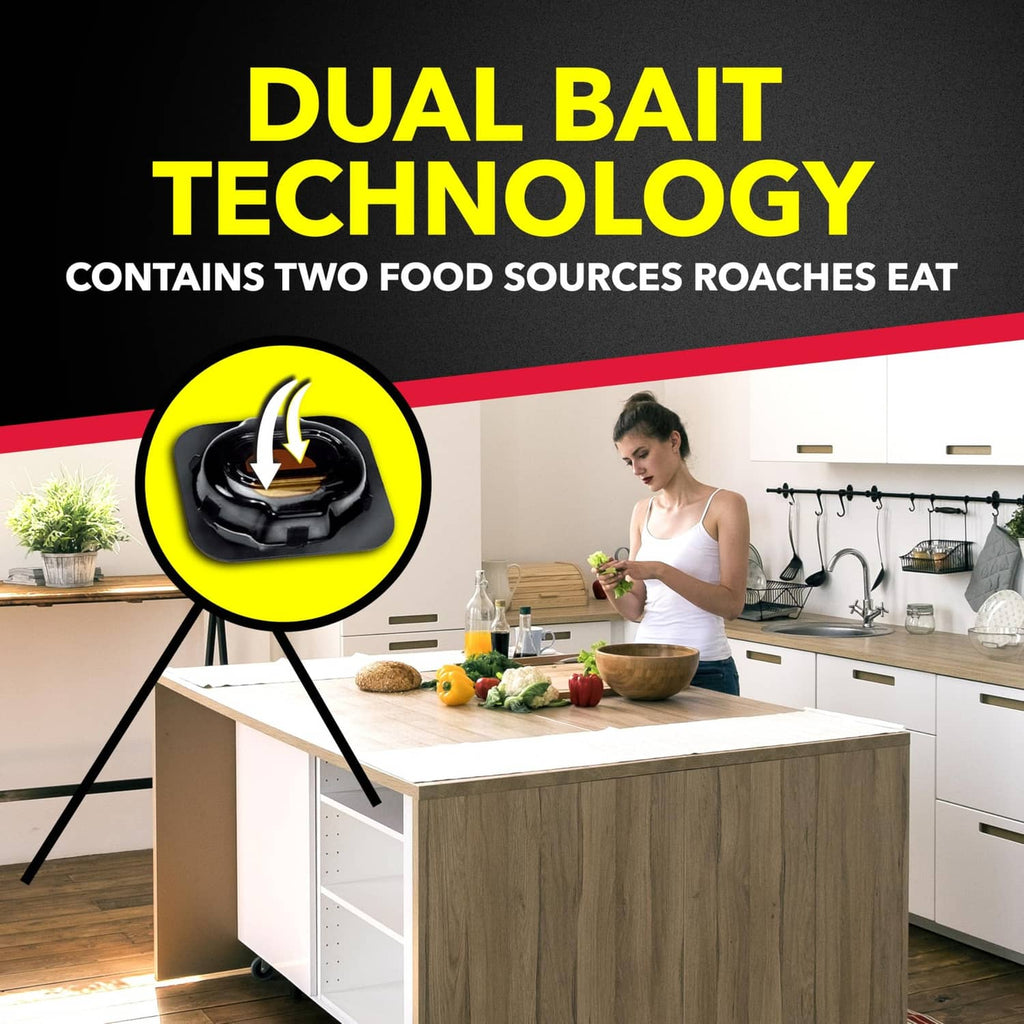 Raid dual bait technology graphic with roach bait station and indoor kitchen scene