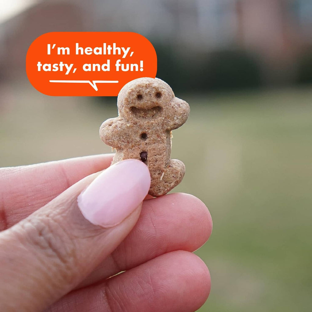 Single small gingerbread-style Buddy biscuit dog treat held between fingers