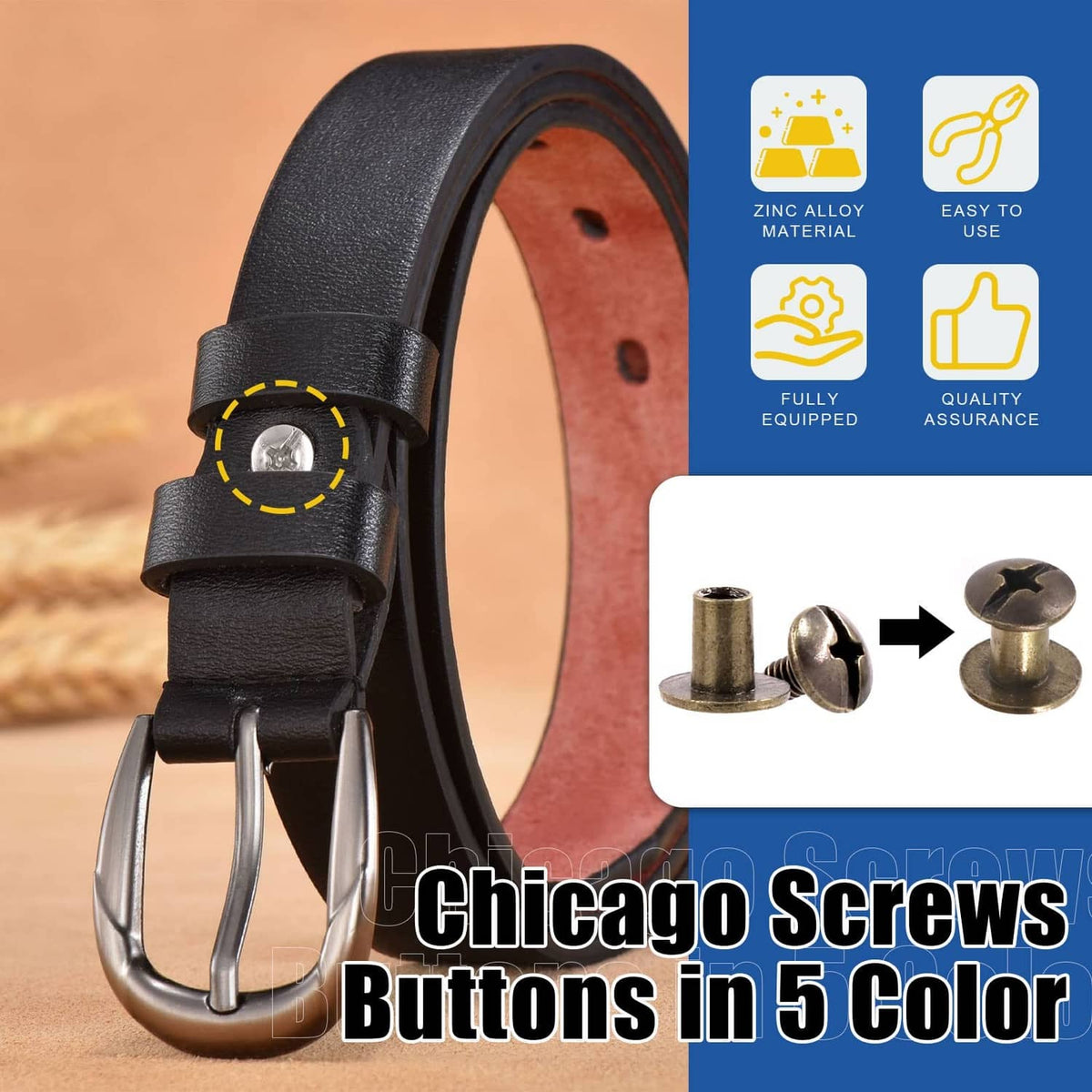 Chicago screw buttons on black leather belt strap with round flat-head studs