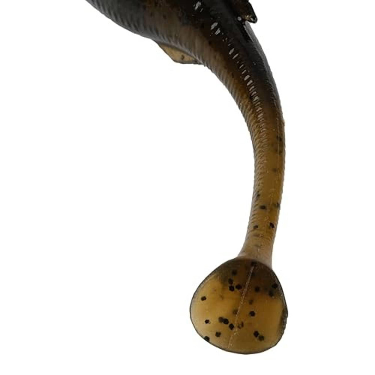 Close view of dark shad soft plastic tail with speckled underside and curved fin