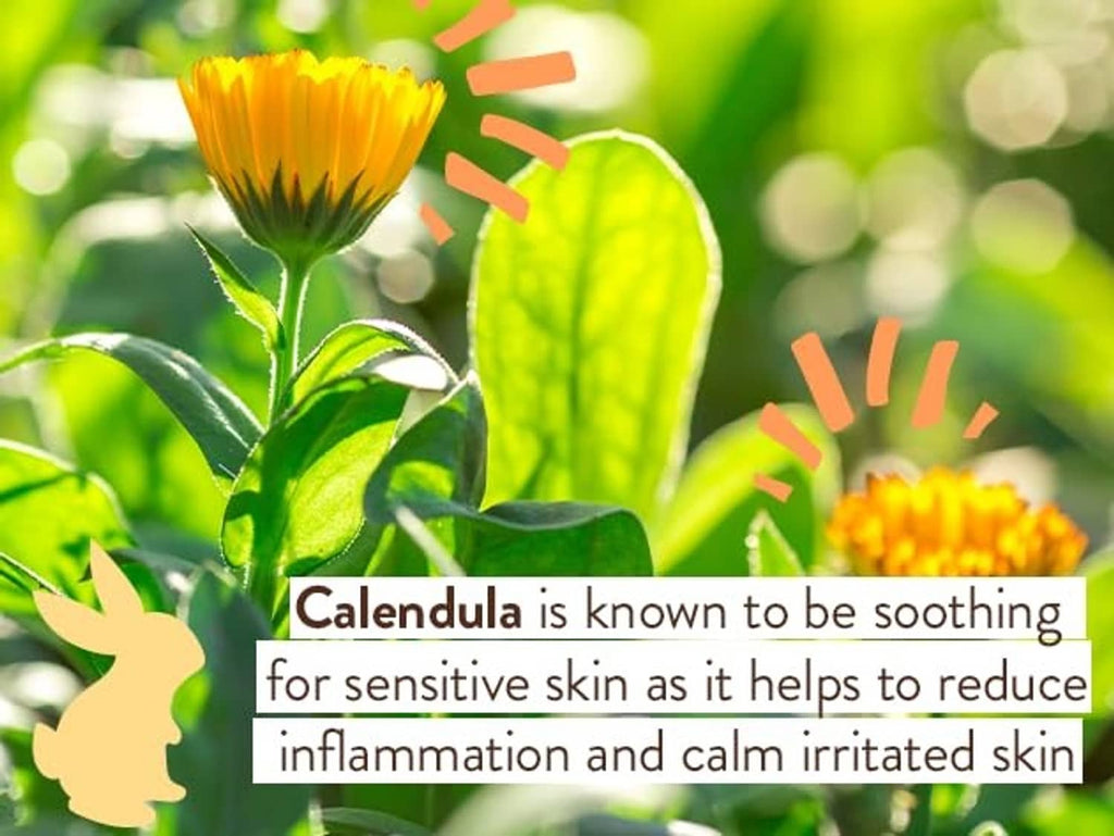 Diaper rash cream ingredient infographic featuring calendula flowers and green leaves
