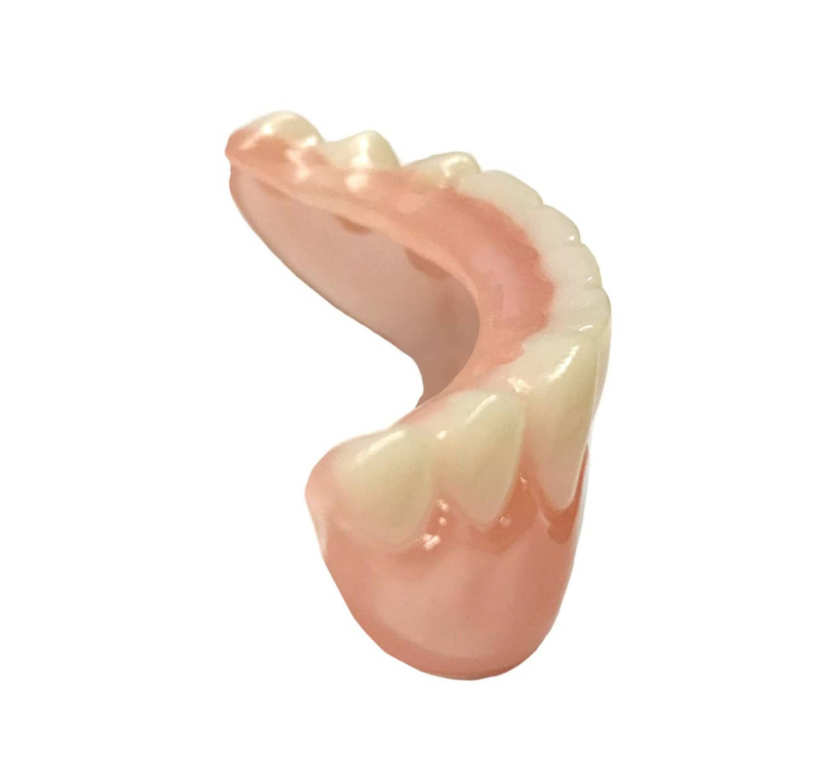 Cosmetic lower teeth with pink gum base and white tooth row, angled view.
