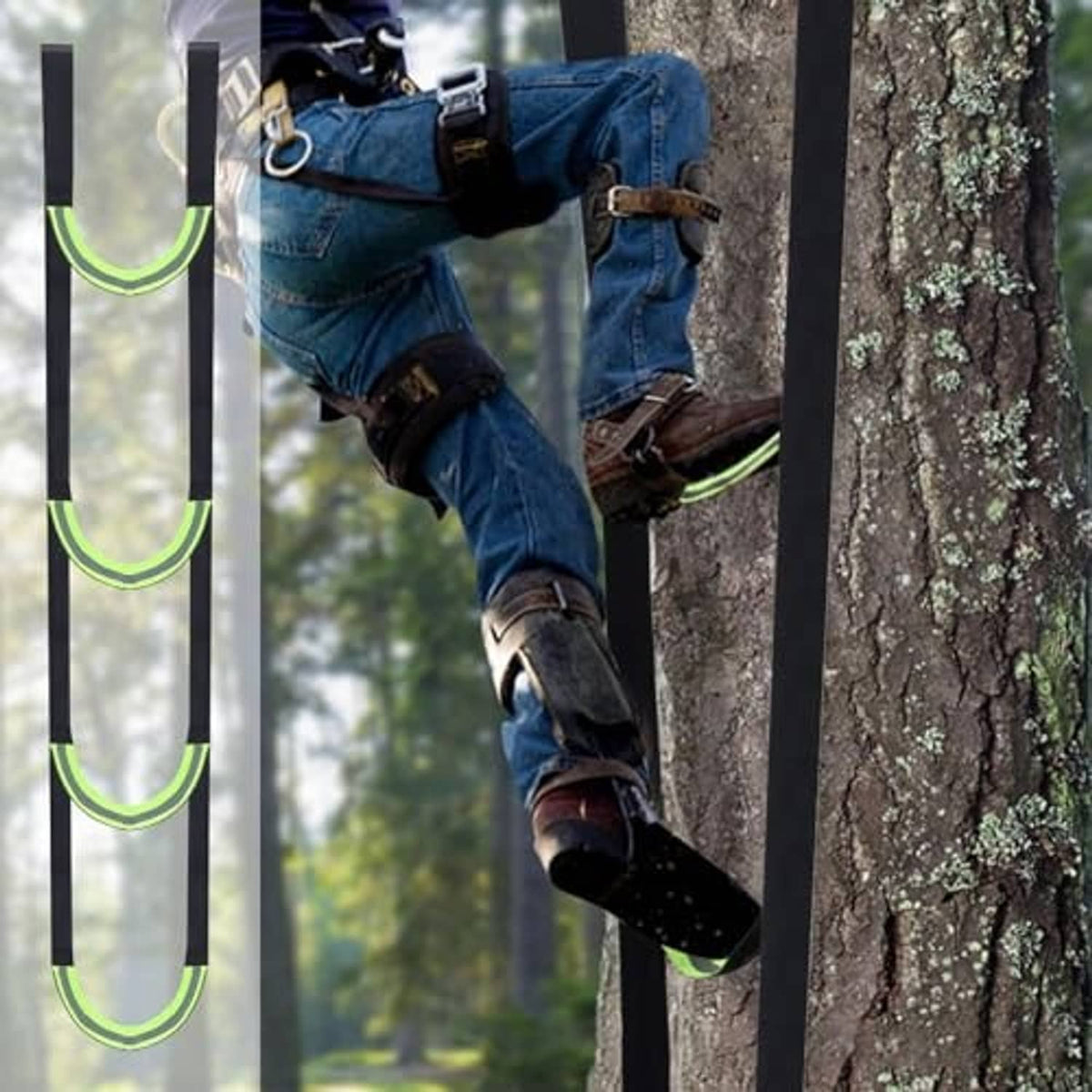 Climbing aider straps secured to a tree, with neon-green padded foot step loops.