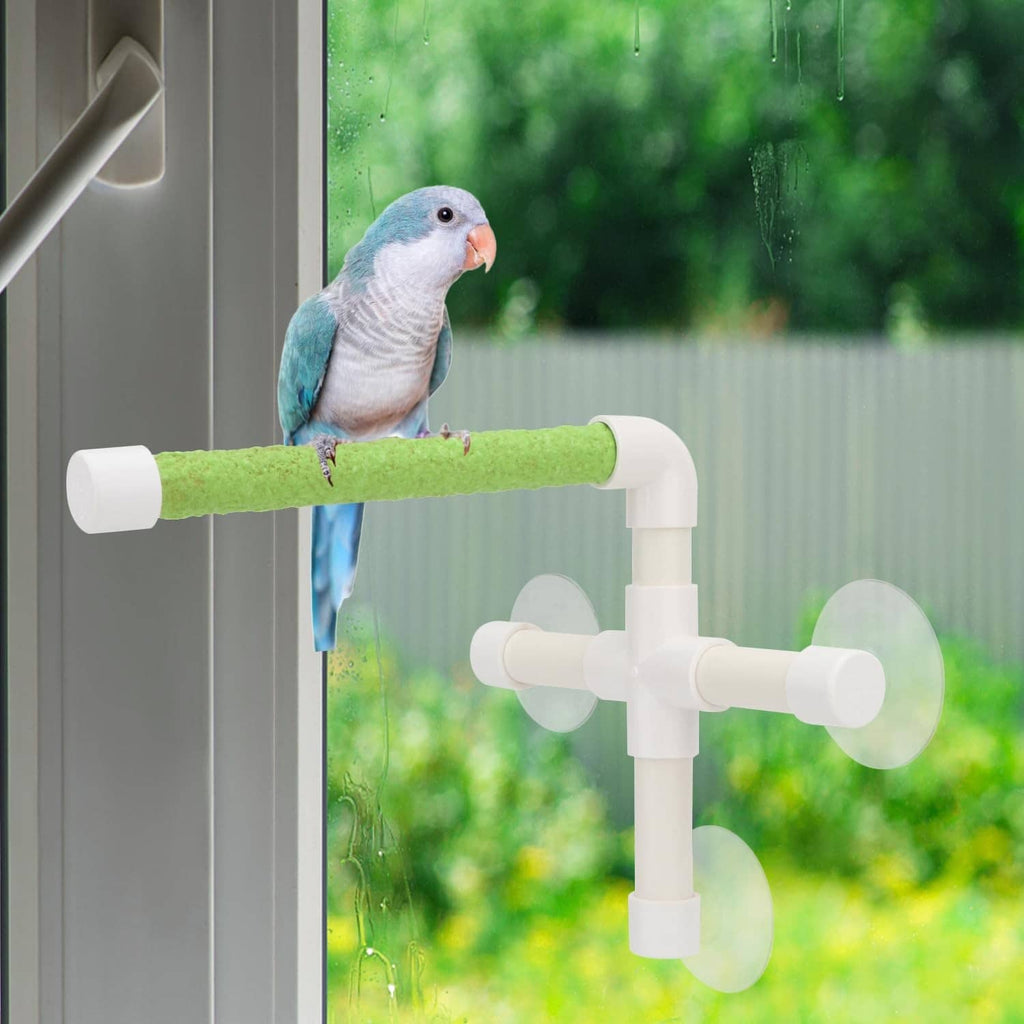 Bird perched on green bar attached to white suction-cup frame