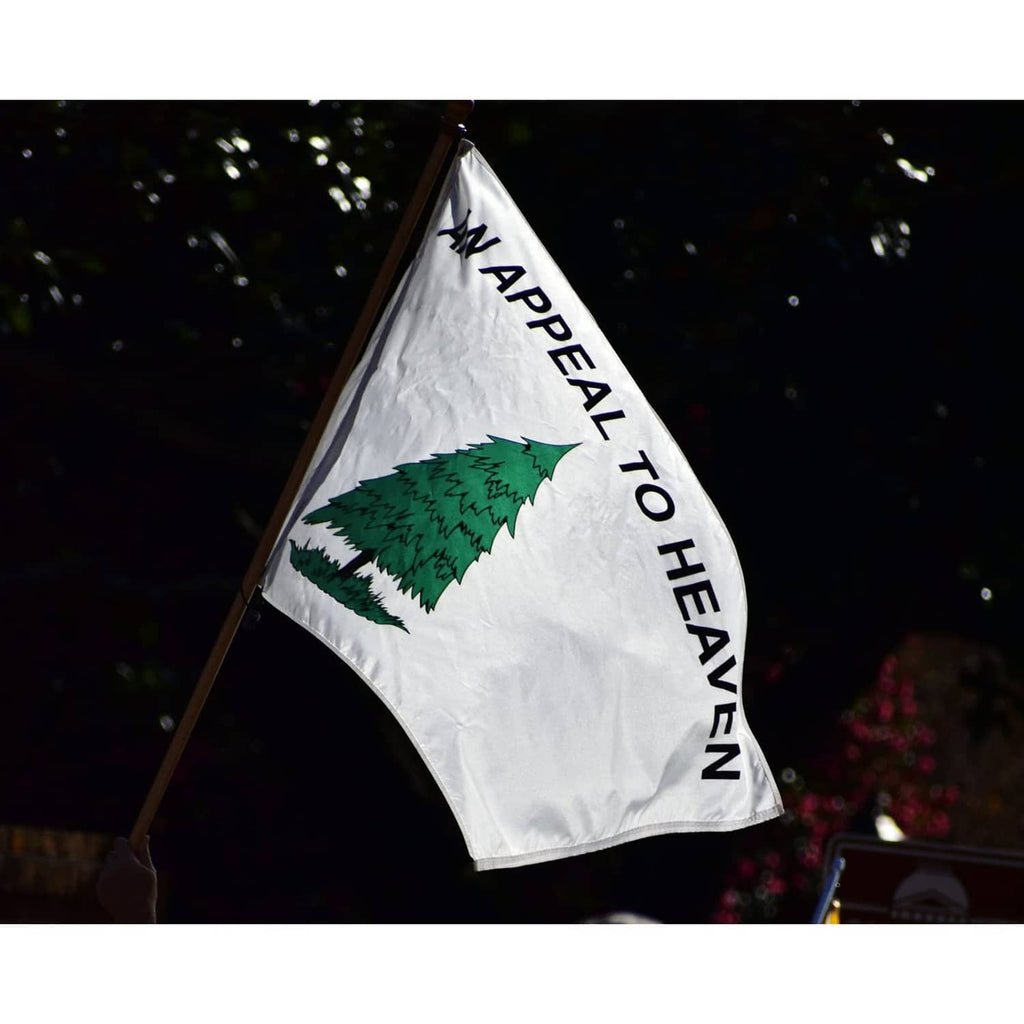 Outdoor flag on pole displaying 'AN APPEAL TO HEAVEN' and green tree emblem
