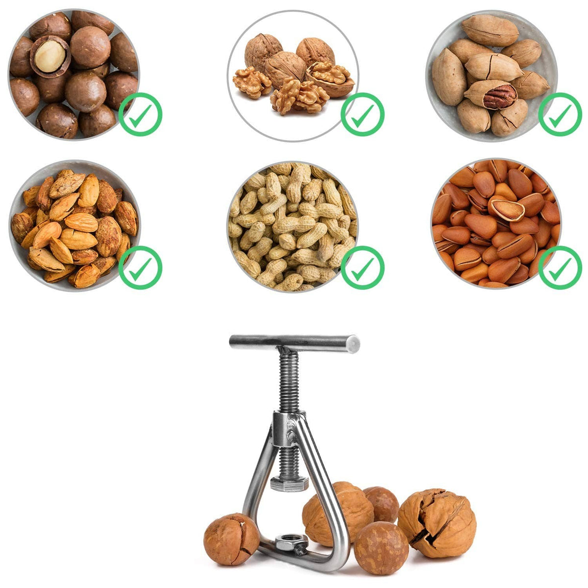Stainless steel nut cracker for assorted nuts, shown with walnut and pecan