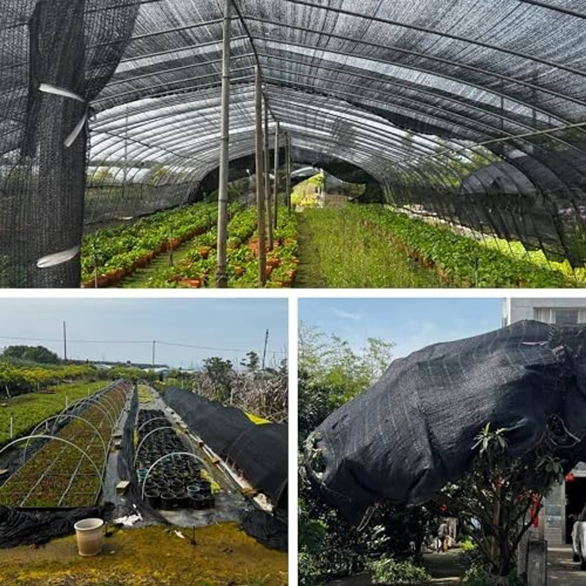 Black shade cloth covering tunnel greenhouse rows, stretched on vertical posts