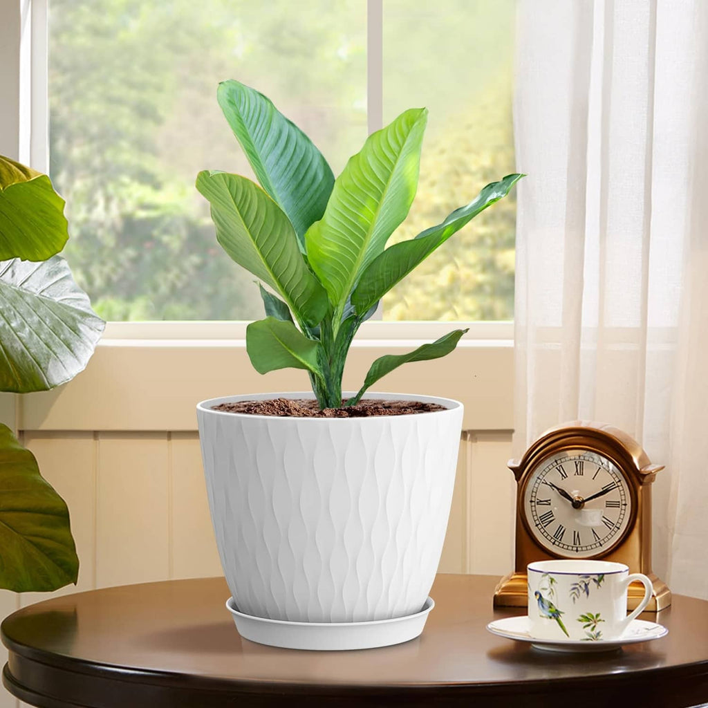 White textured plant pot with soil and leafy plant on a tabletop