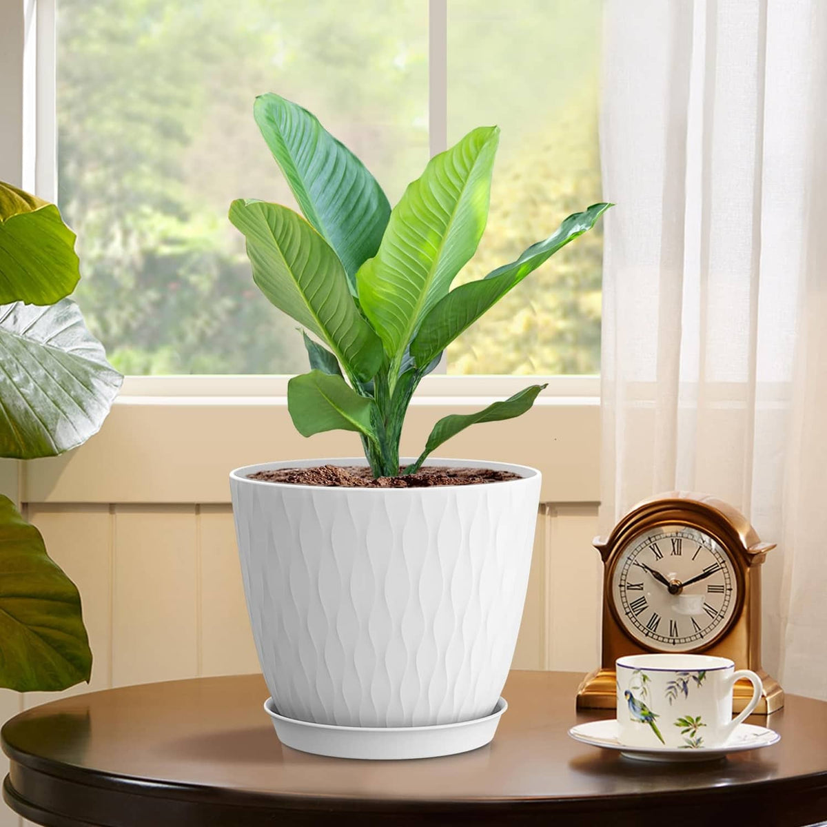 White textured plant pot with soil and leafy plant on a tabletop