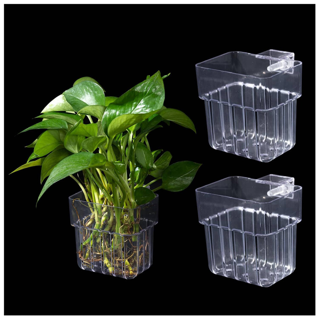 Clear acrylic aquarium plant holder pot with green plants, transparent hanging design