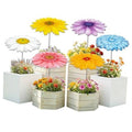 Set of 6 corrugated plastic flower plant umbrellas on stakes, multi-color daisy blooms
