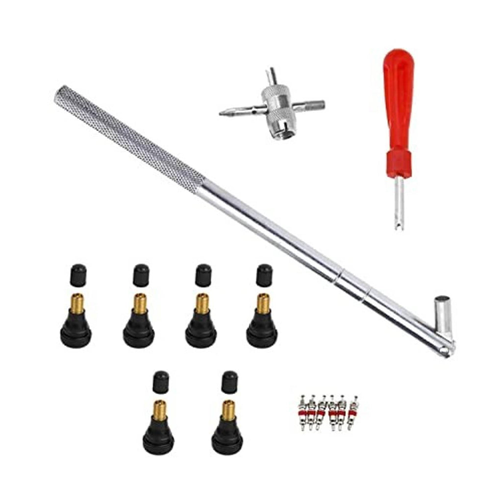 Tire valve stem tool kit with metal installer/remover tool, red handle, and multiple valve caps