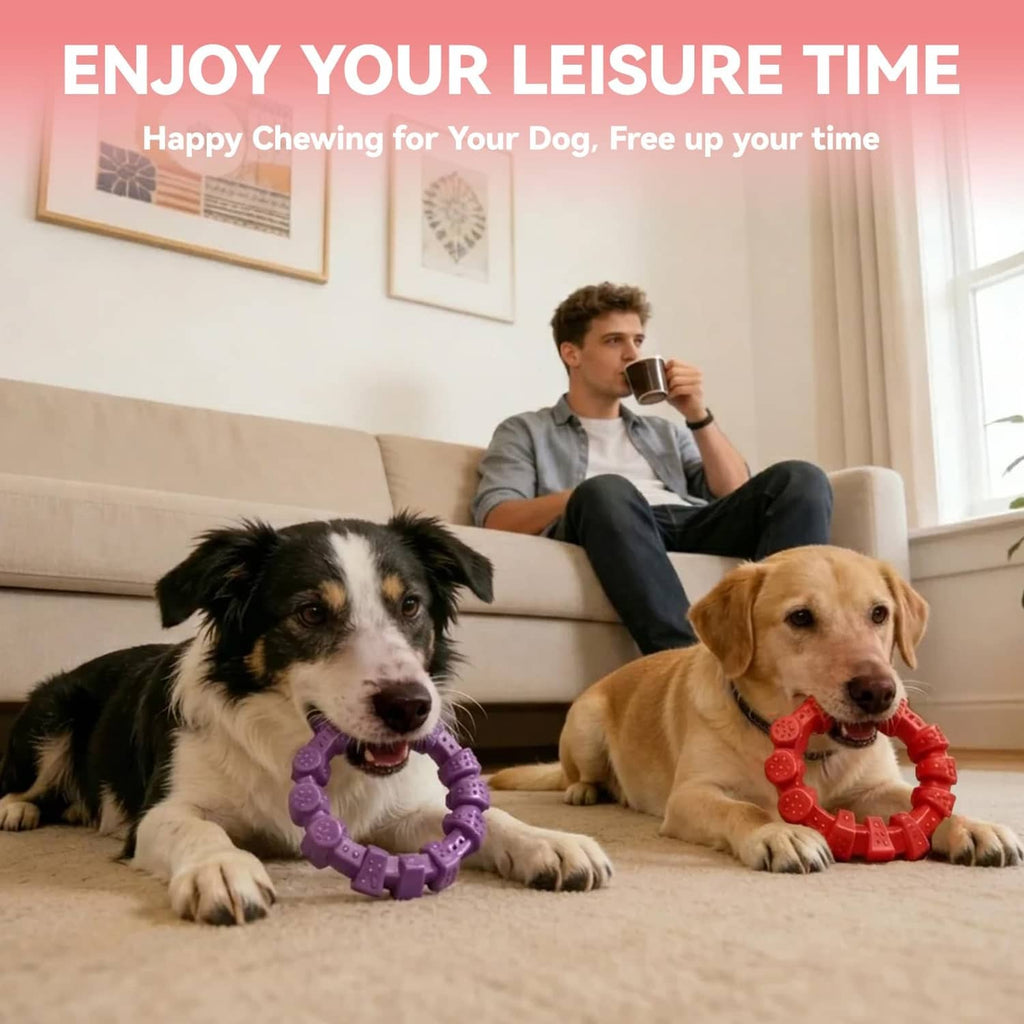 Red and purple bumpy dog chewing ring toys with two dogs on a rug